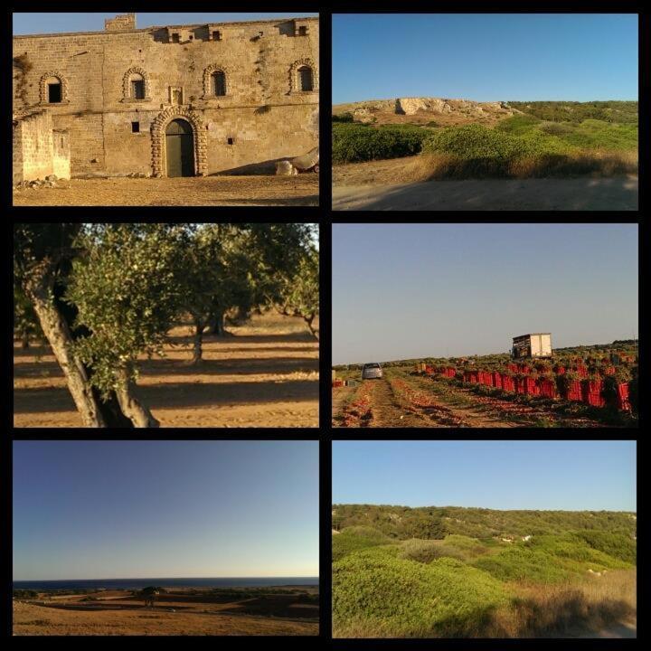 Salento - Casa Vacanza Di Diana Carcagni Нардо Экстерьер фото
